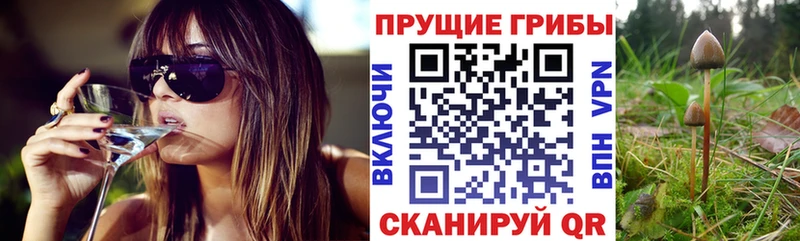 Галлюциногенные грибы Magic Shrooms  Новый Оскол 